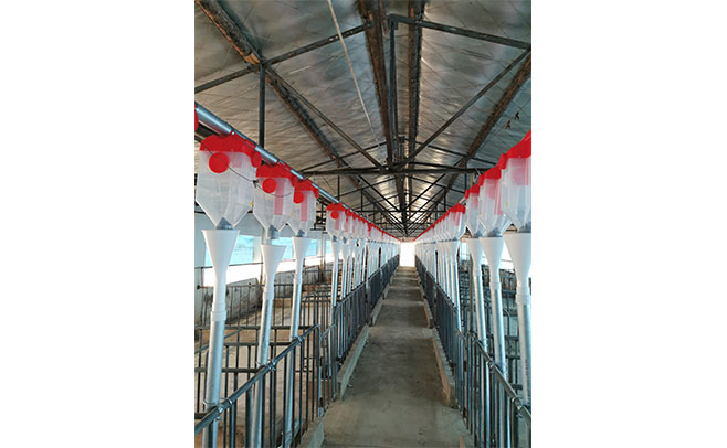 1607394353221679.jpg 干料線.jpg