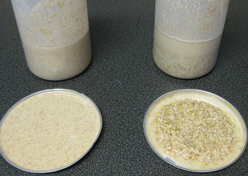 發(fā)酵料 發(fā)酵料